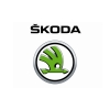 Компьютерная диагностика всех автомобилей марки Skoda