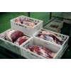 Производство говядины,  свинины.  Продажа оптом мясо