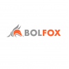 Сайт BolFox:  интернет-реклама Вашего бизнеса