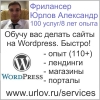 Обучу вас делать сайты на Wordpress CMS