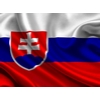 Paбота в Словакии по биометрии,  польской визе и на ВНЖ.  Без предопла